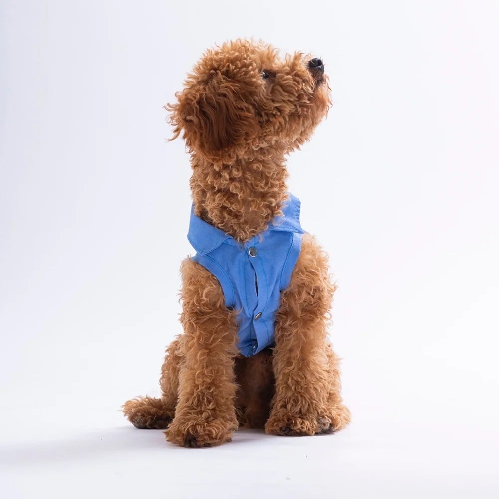 PawStar 26408 Avo Bliss Desenli Denim Gömlek