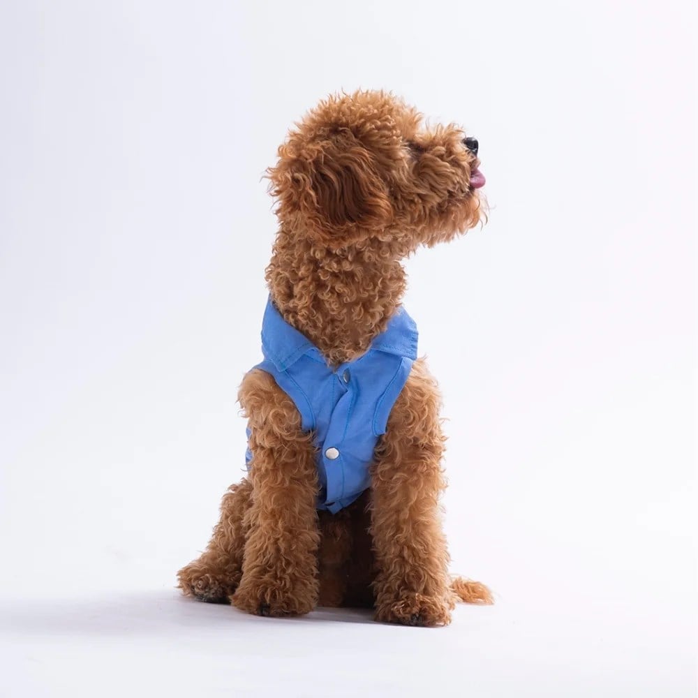 PawStar 26409 Cozie Bear Desenli Denim Gömlek