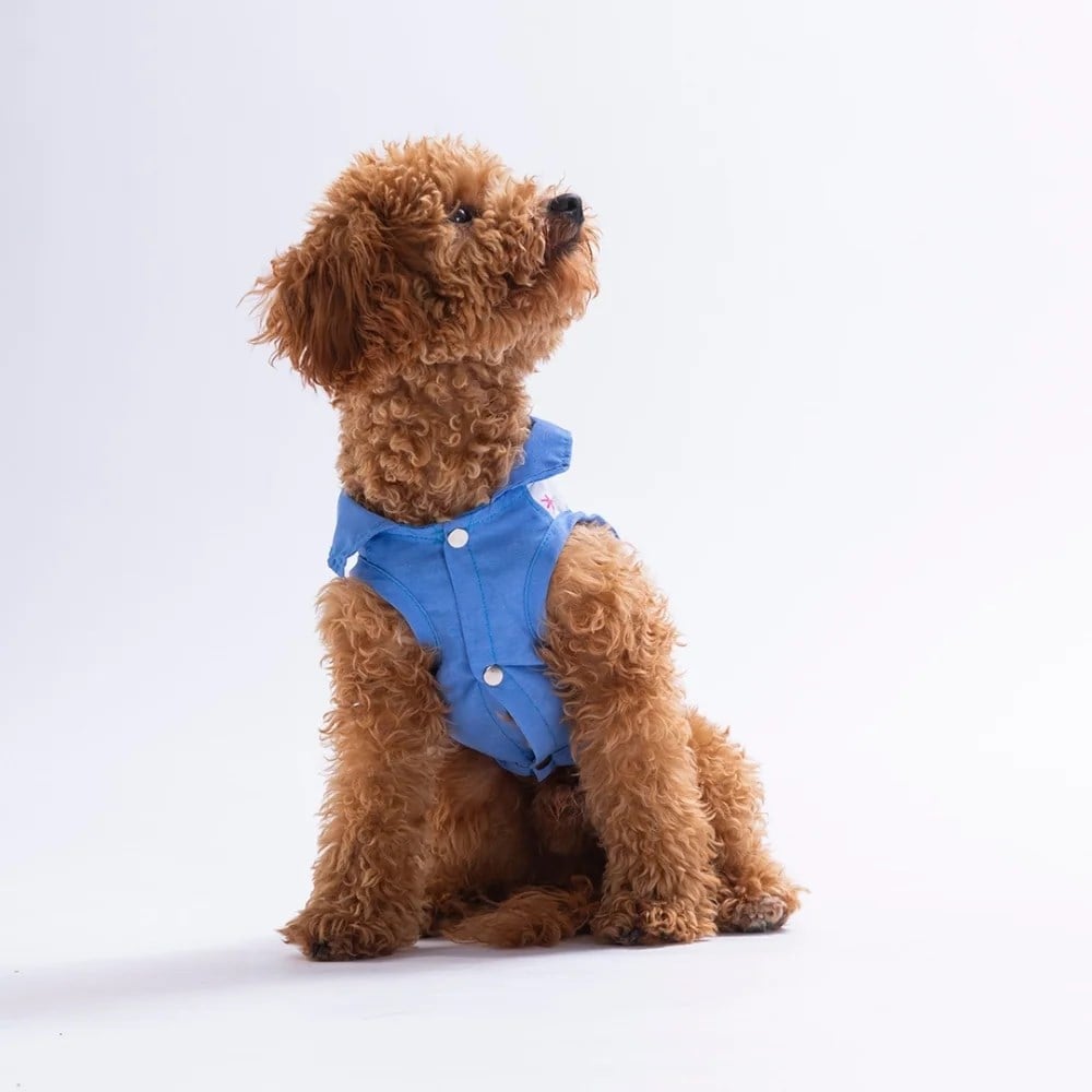PawStar 26410 Ruby Slice Desenli Denim Gömlek