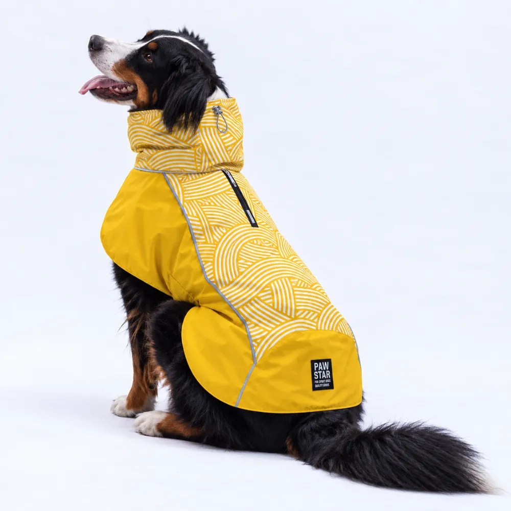 PawStar 26502 Hardal Salento Patch  Orta ve Büyük Irk Yağmurluk