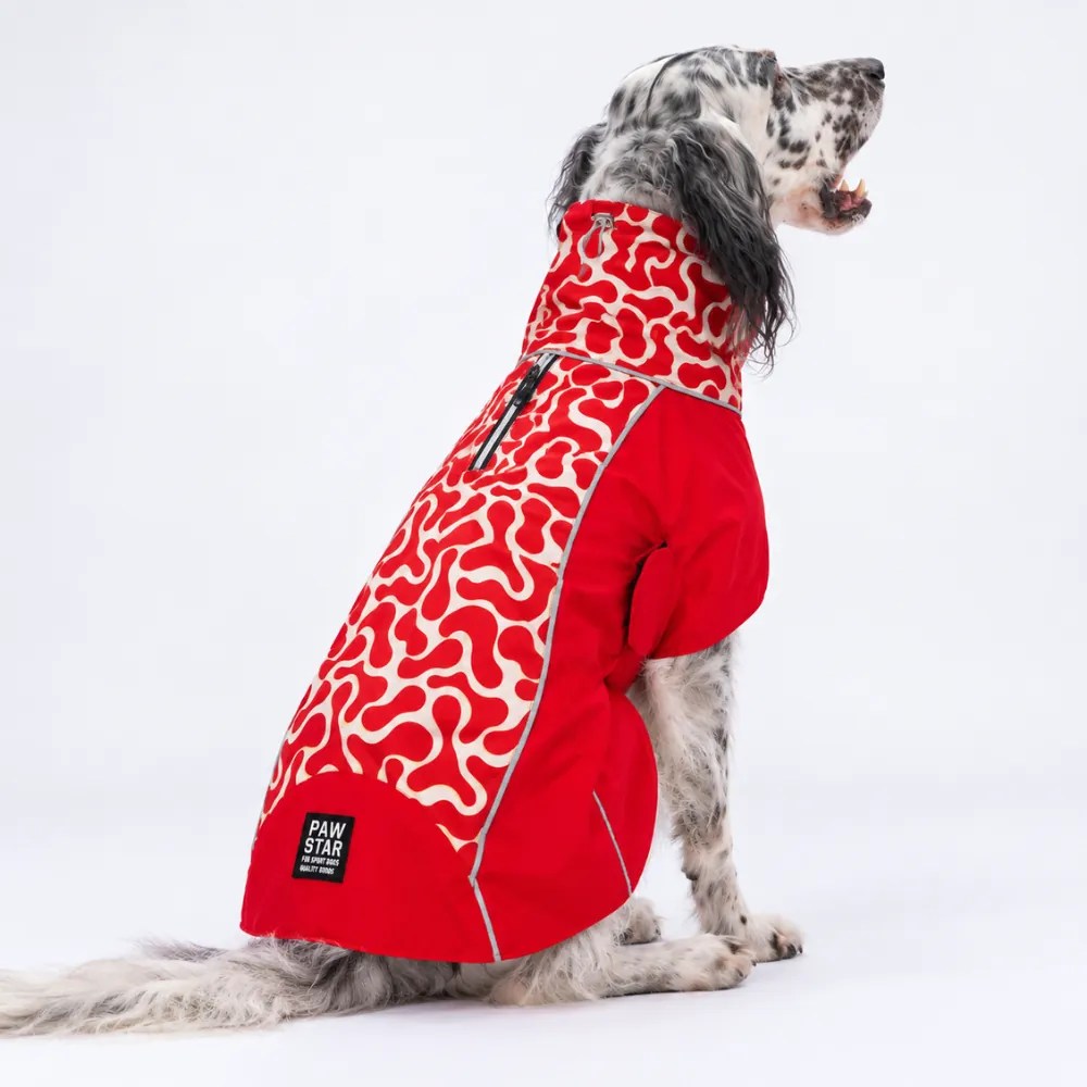 PawStar 26503 Turuncu Salento Patch  Orta ve Büyük Irk Yağmurluk