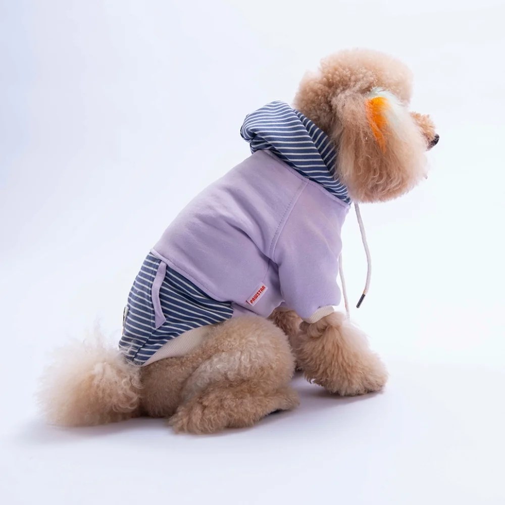 PawStar 26723 Lila Sera Stripe Hoodie