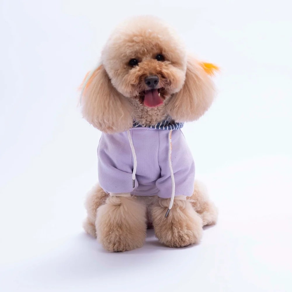 PawStar 26723 Lila Sera Stripe Hoodie