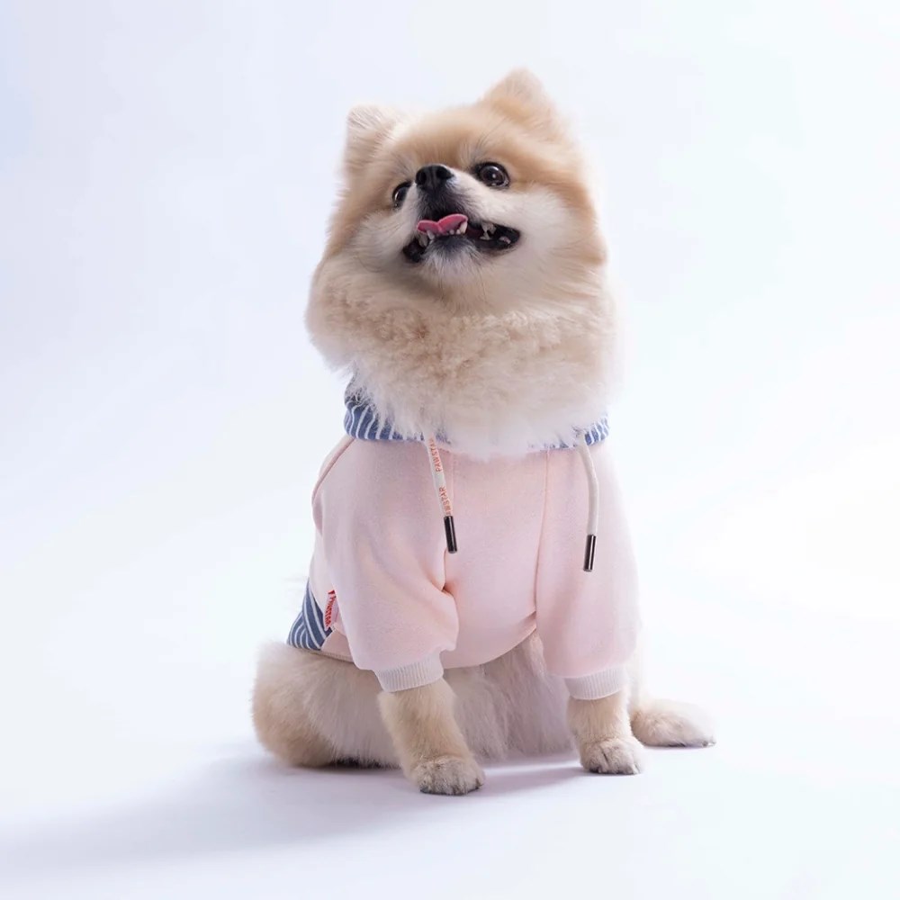 PawStar 26724 Pembe Sera Stripe Hoodie