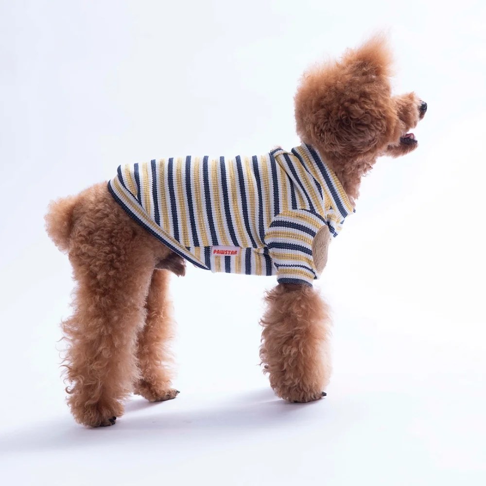PawStar 26727 Sarı Marseille Softline Sweat