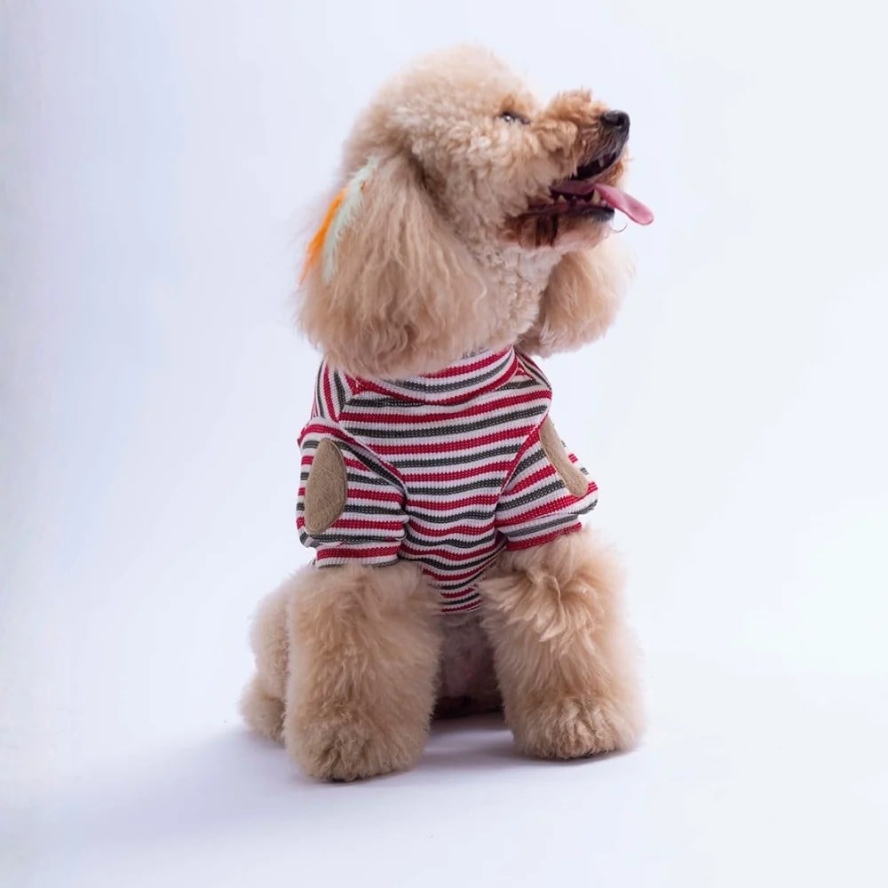 PawStar 26729 Kırmızı Marseille Softline Sweat