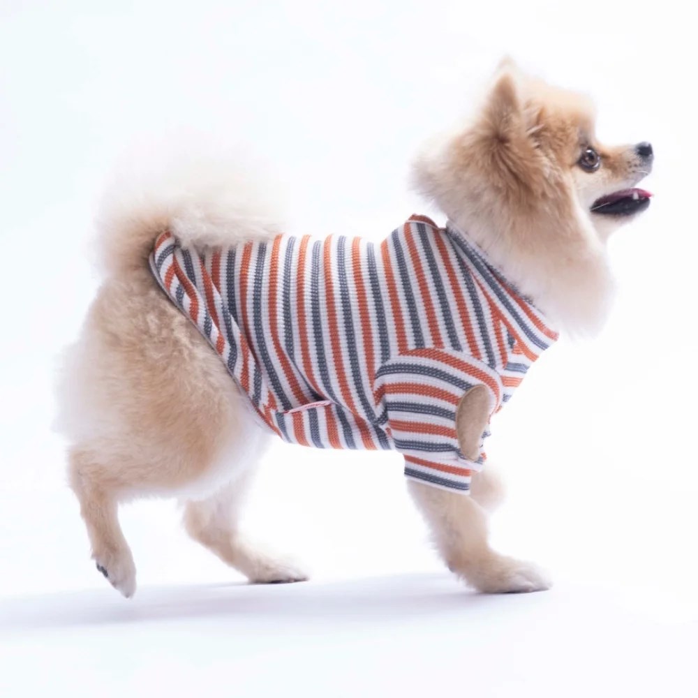 PawStar 26730 Kiremit Marseille Softline Sweat
