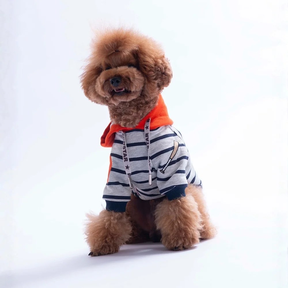 PawStar 26732 Turuncu Seattle Pitch Hoodie