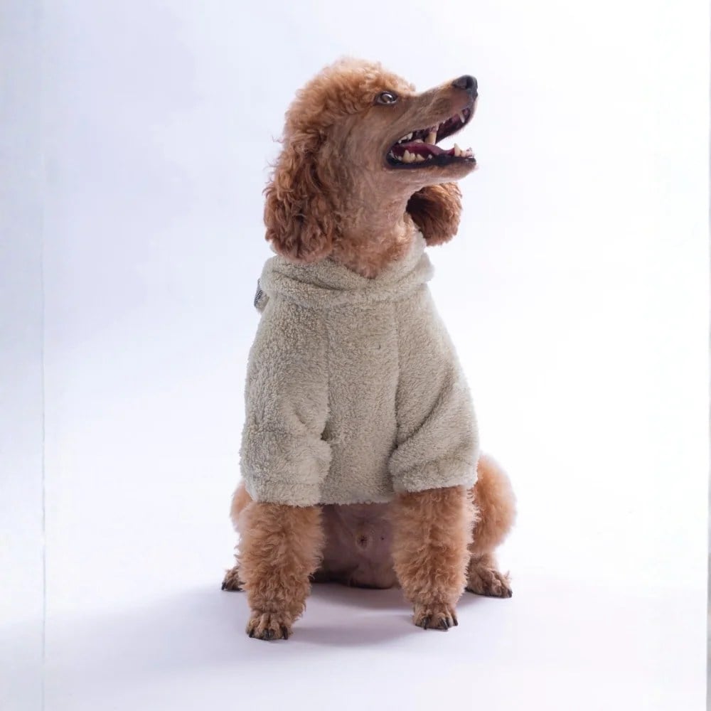 PawStar 26735 Açık Bej LuccaTeddy Hoodie