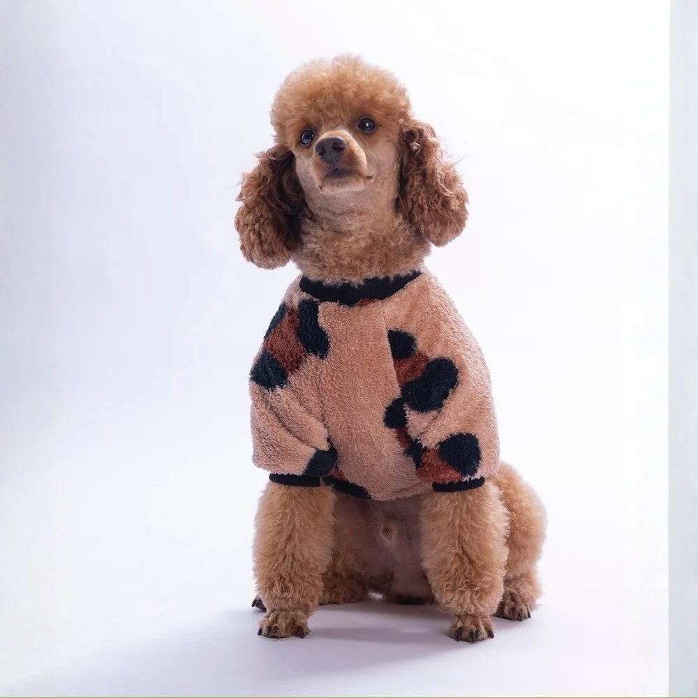 PawStar 26743 Zermatt Wild Sweat