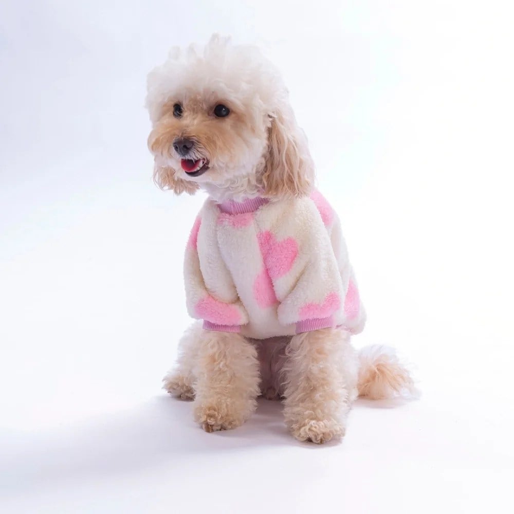 PawStar 26746 Cortina Sweet Sweat
