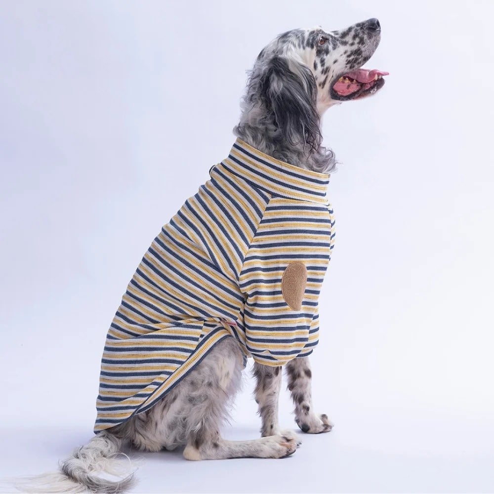 PawStar 26763 Sarı Marseille Softline Büyük Irk Sweat