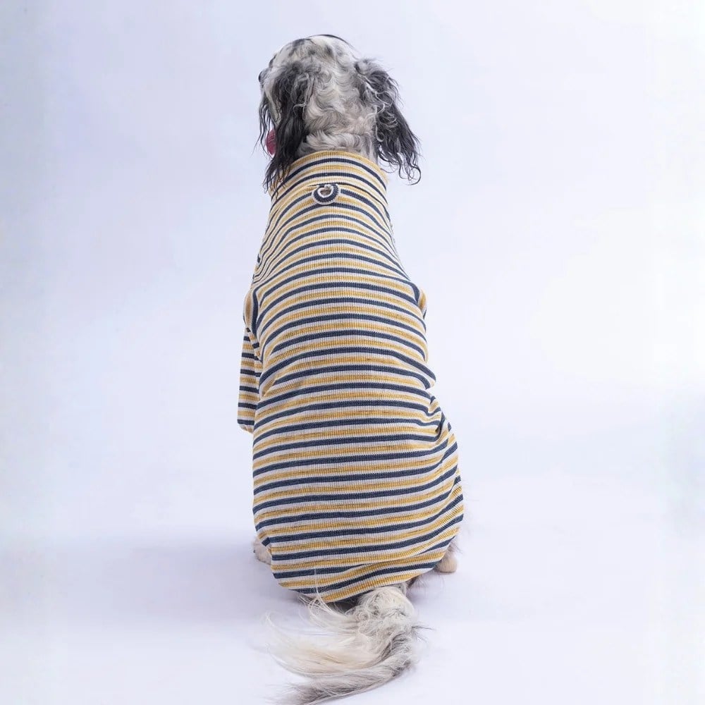PawStar 26763 Sarı Marseille Softline Büyük Irk Sweat