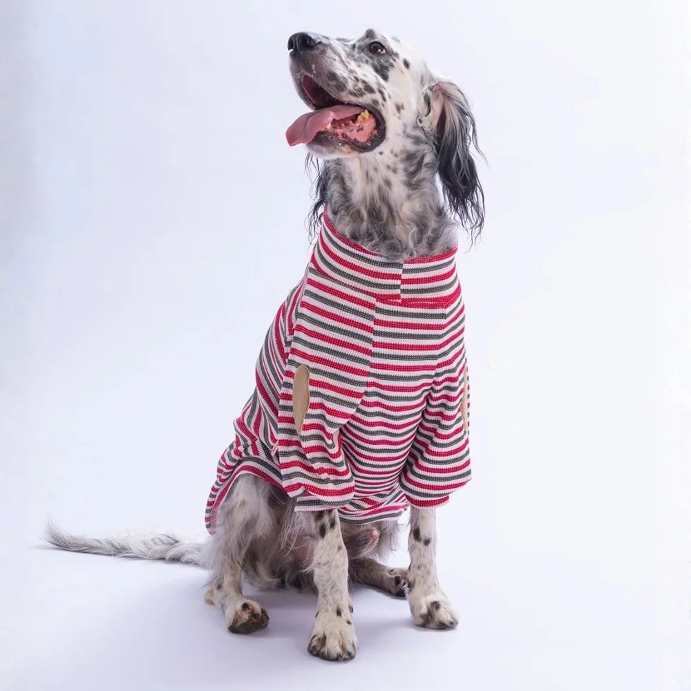 PawStar 26765 Kırmızı Marseille Softline Büyük Irk Sweat