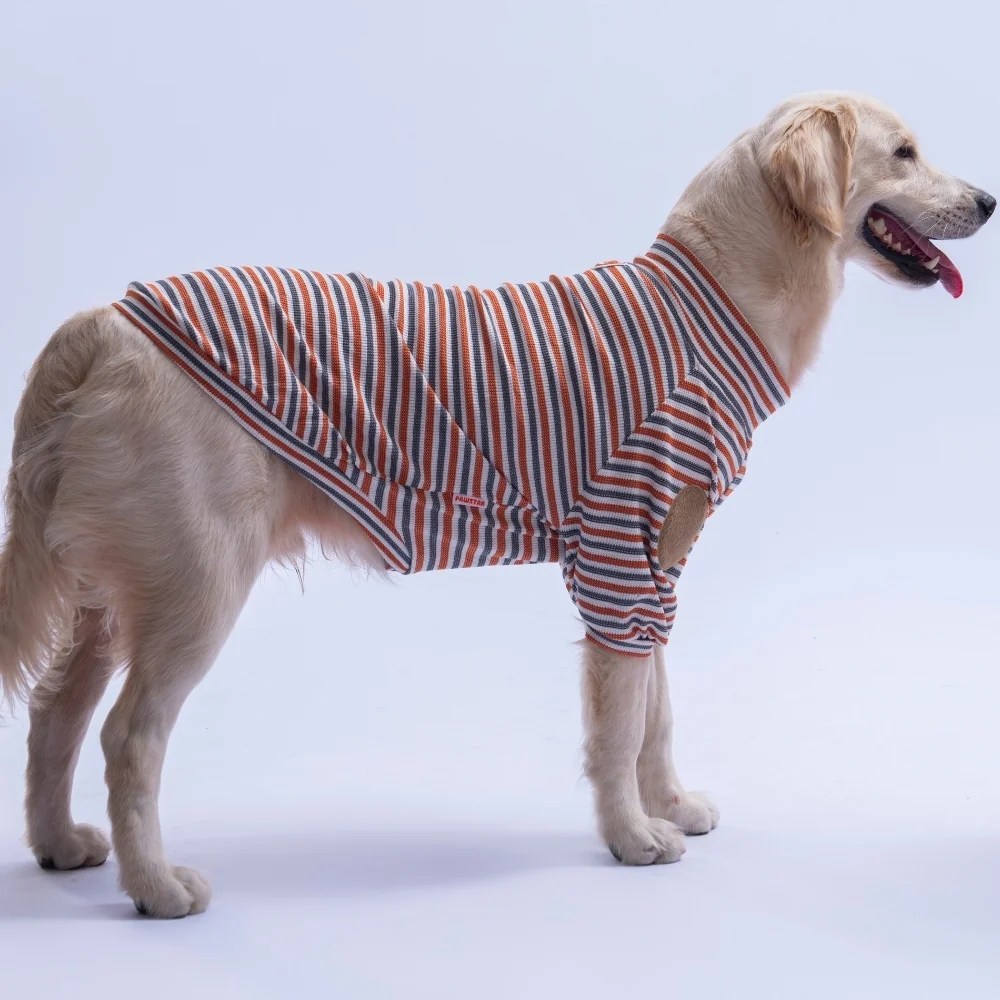 PawStar 26766 Kiremit Marseille Softline Büyük Irk Sweat