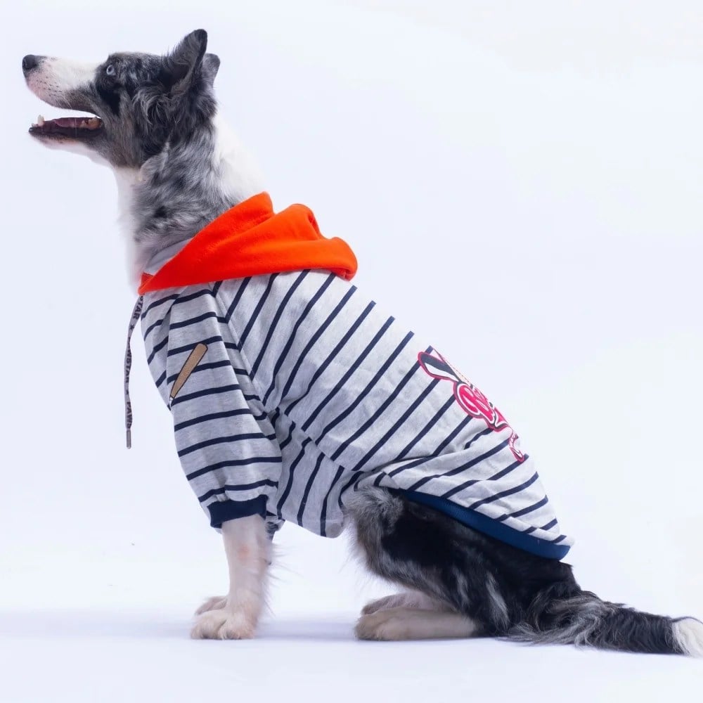PawStar 26768 Turuncu Seattle Pitch Büyük Irk Hoodie