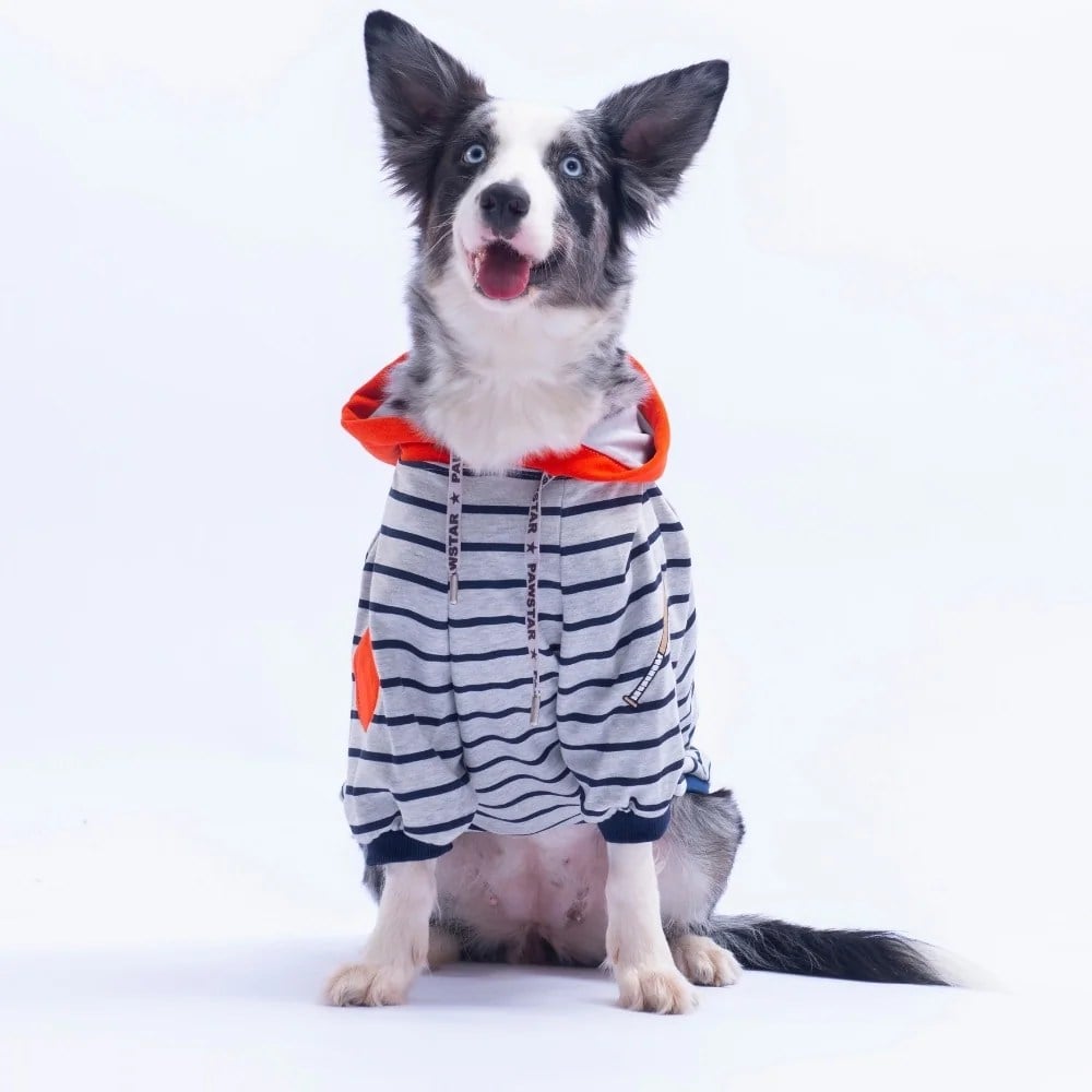 PawStar 26768 Turuncu Seattle Pitch Büyük Irk Hoodie
