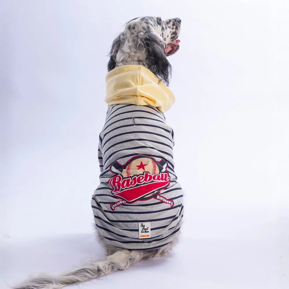 PawStar 26769 Sarı Seattle Pitch Büyük Irk Hoodie