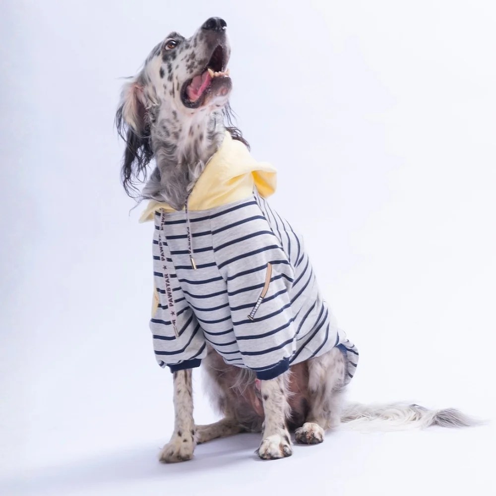 PawStar 26769 Sarı Seattle Pitch Büyük Irk Hoodie