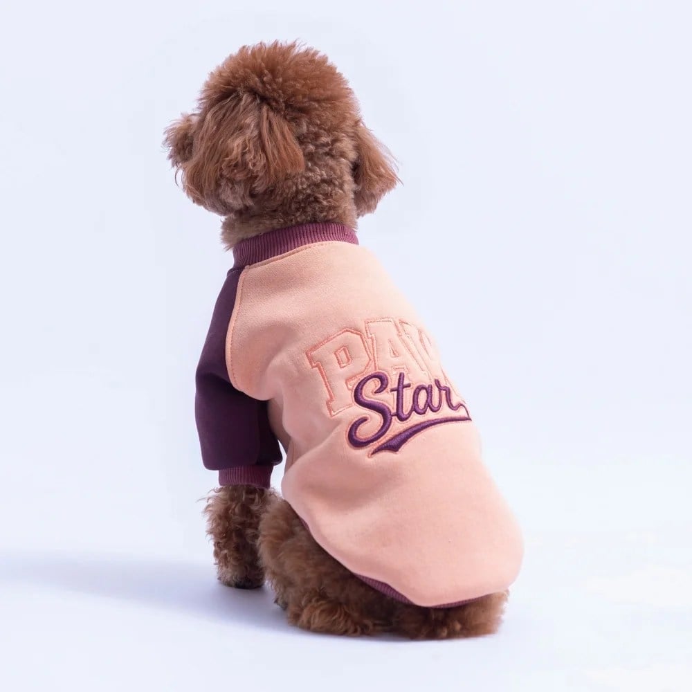 PawStar 26774 Somon Boston Pawstar Sweat