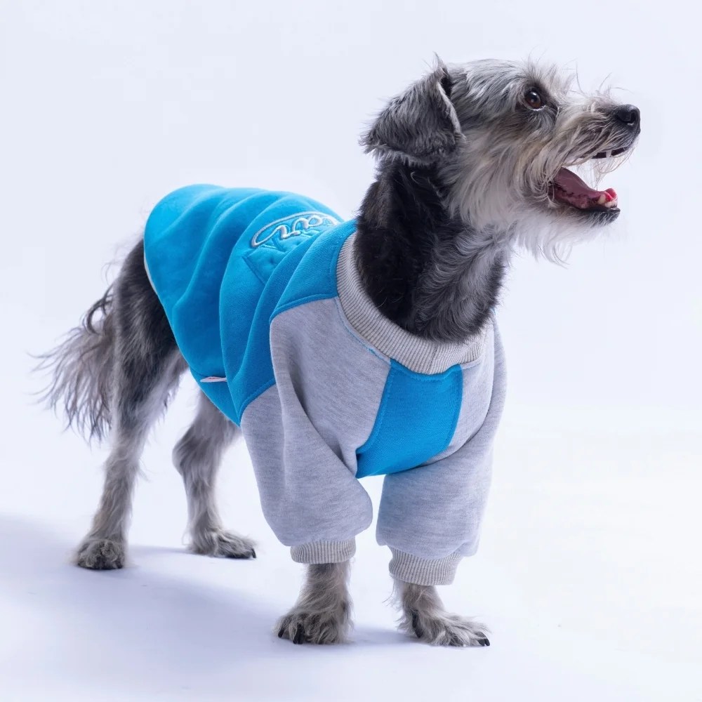 PawStar 26775 Mavi Boston Pawstar Sweat