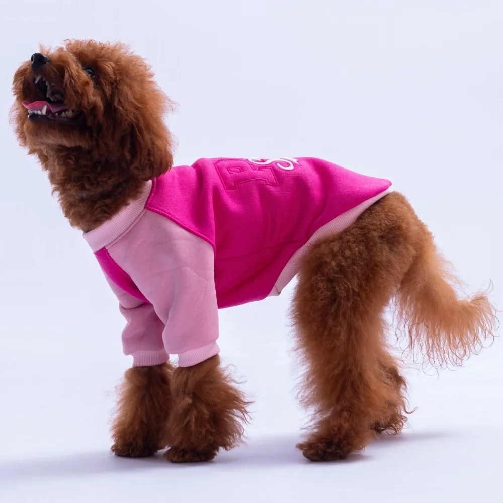 PawStar 26776 Fuşya Boston Pawstar Sweat