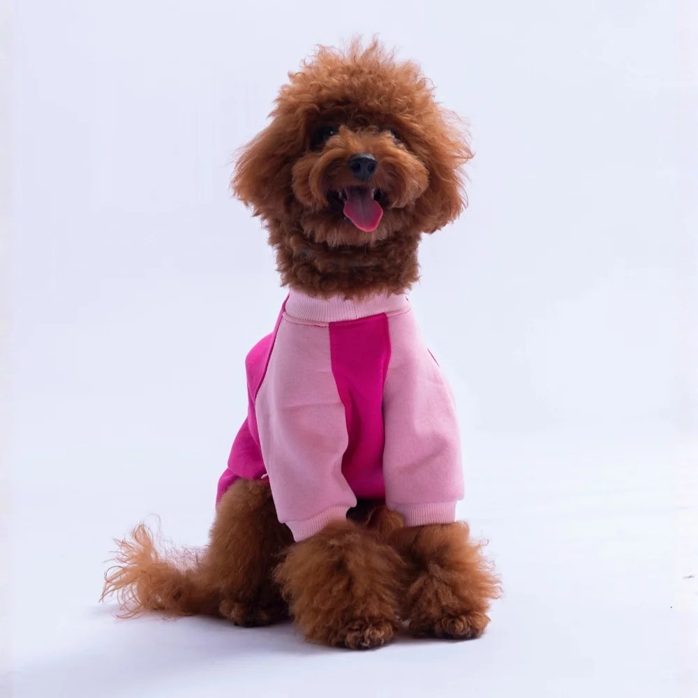 PawStar 26776 Fuşya Boston Pawstar Sweat