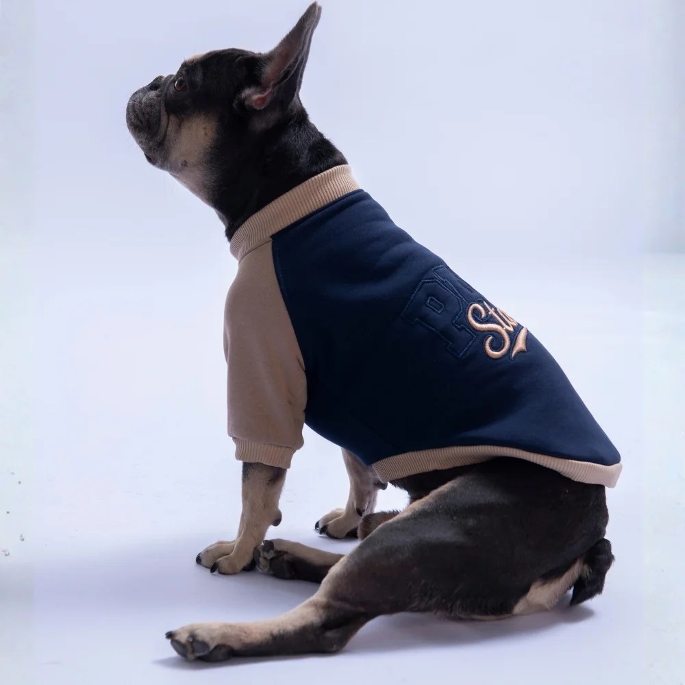 PawStar 26777 Lacivert Boston Pawstar Sweat