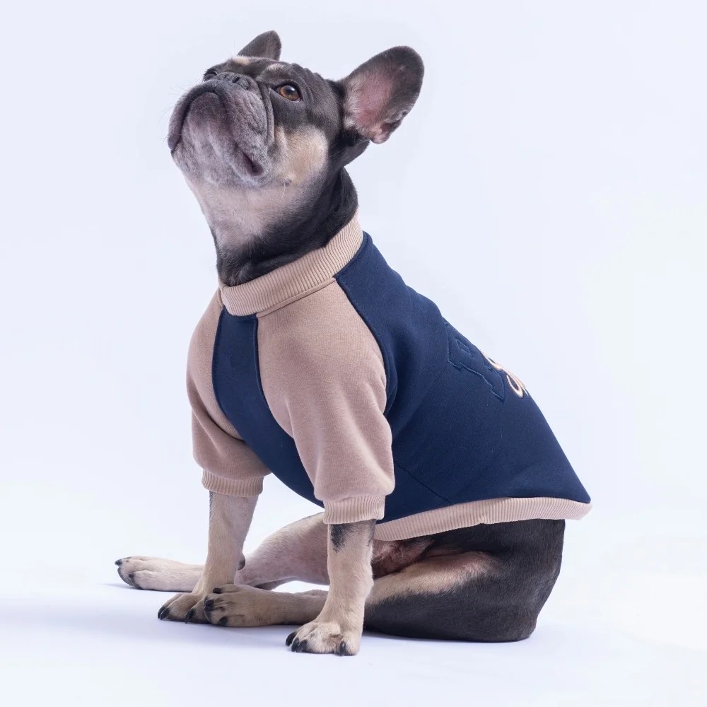 PawStar 26777 Lacivert Boston Pawstar Sweat