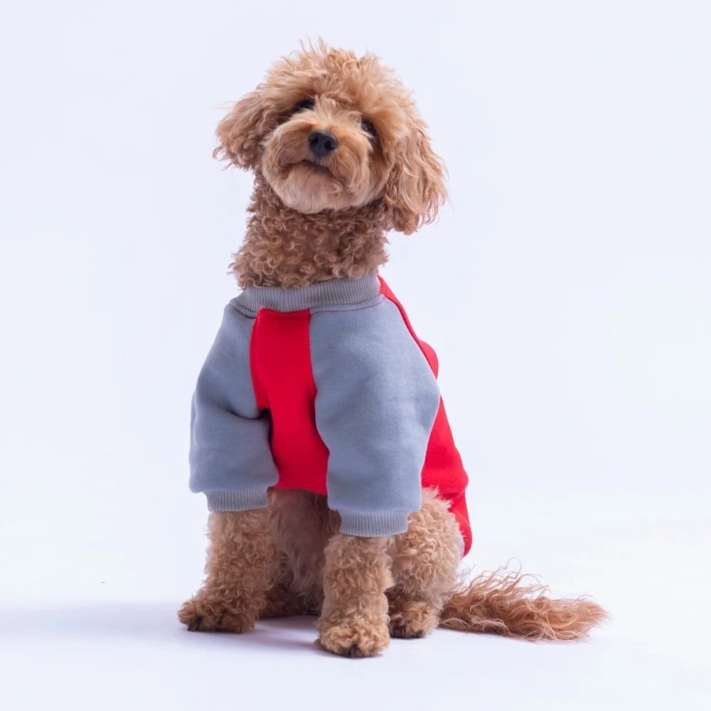 PawStar 26778 Kırmızı Boston Pawstar Sweat