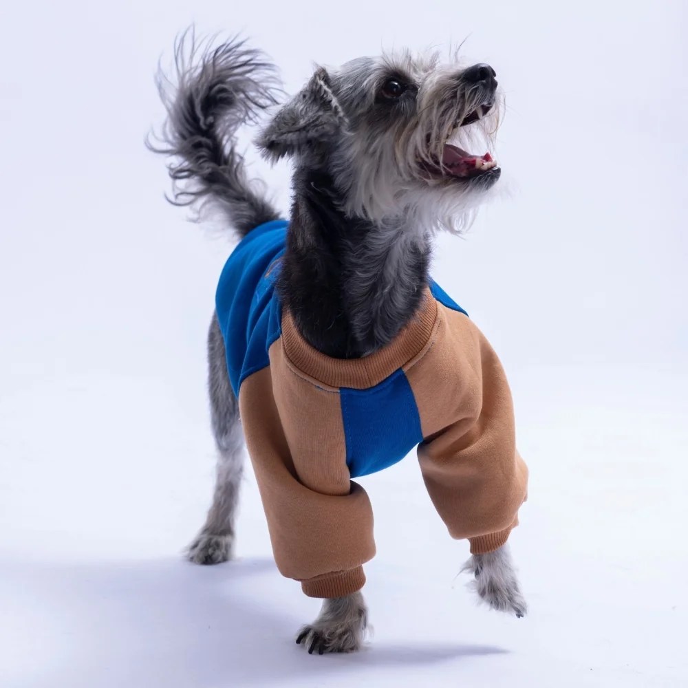 PawStar 26779 Saks Mavi Boston Pawstar Sweat