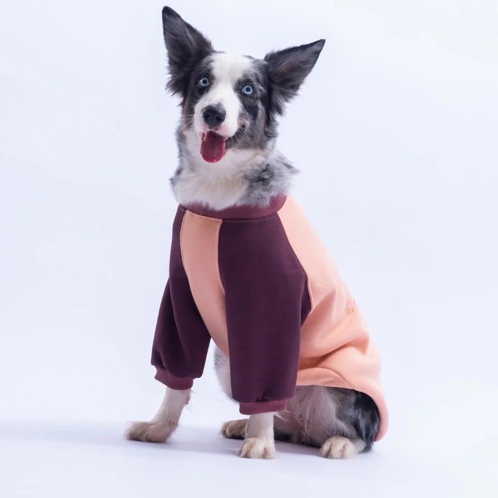 PawStar 26784 Somon Boston Pawstar Büyük Irk Sweat