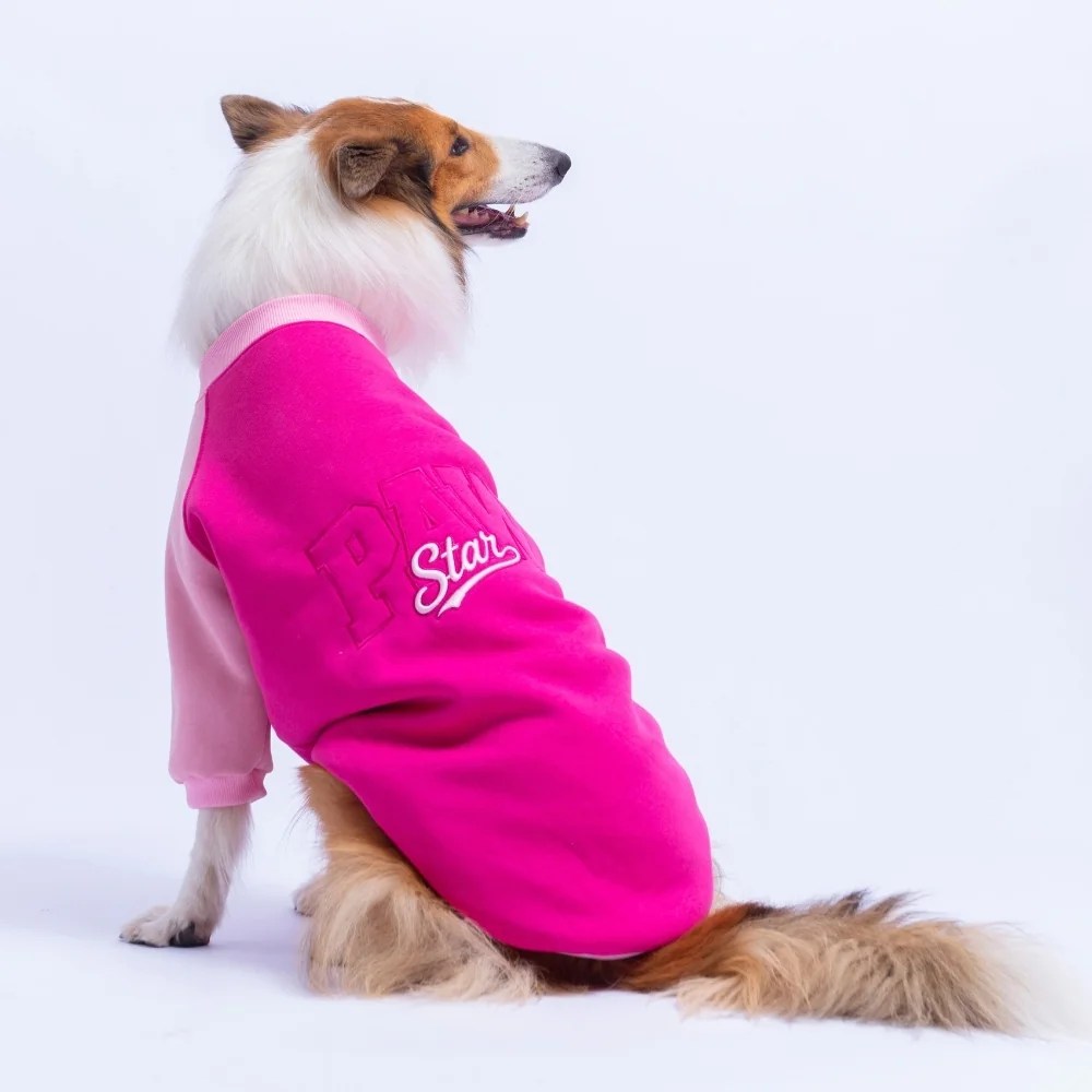 PawStar 26786 Fuşya Boston Pawstar Büyük Irk Sweat