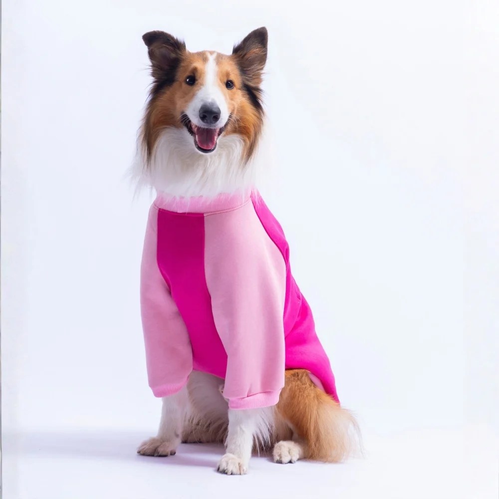 PawStar 26786 Fuşya Boston Pawstar Büyük Irk Sweat