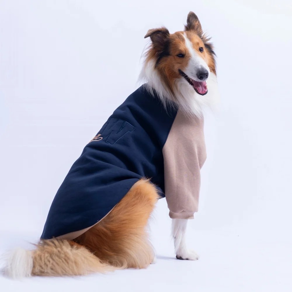 PawStar 26787 Lacivert Boston Pawstar Büyük Irk Sweat