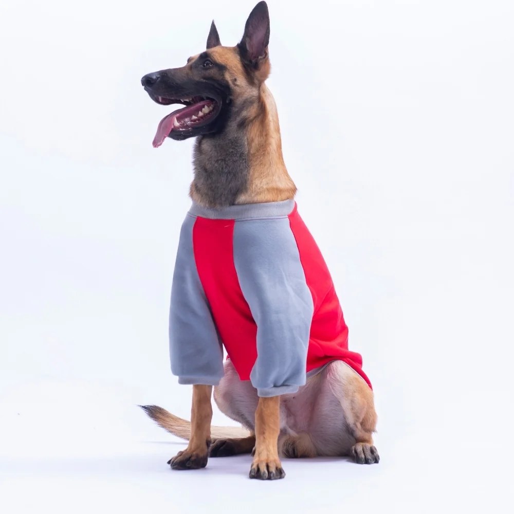 PawStar 26788 Kırmızı Boston Pawstar Büyük Irk Sweat
