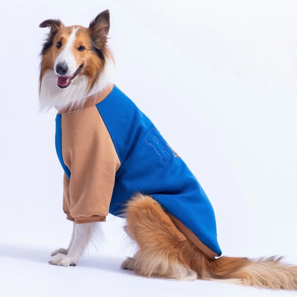 PawStar 26789 Saks Mavi Boston Pawstar Büyük Irk Sweat