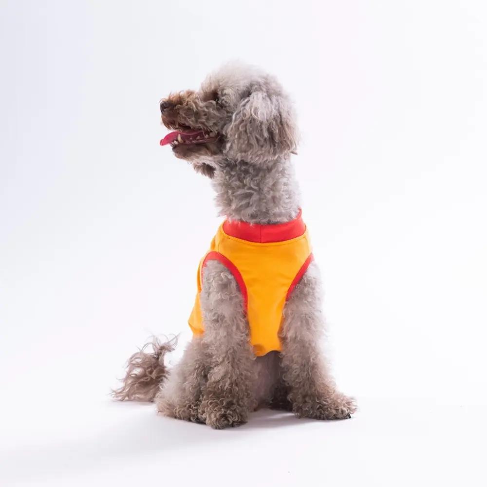 PawStar 26808 Turuncu Donut Teddy Tişört