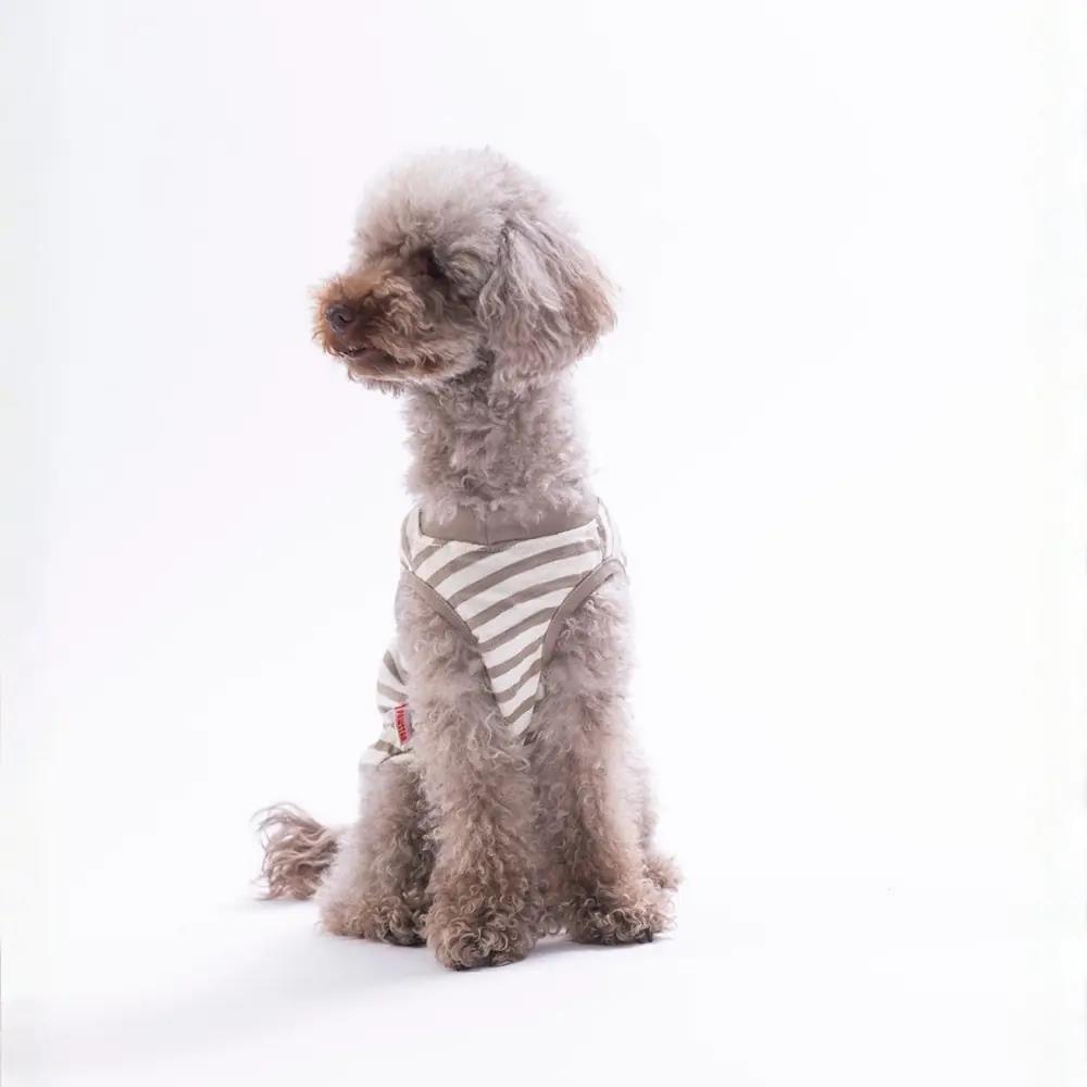 PawStar 26813 Cactus EmbroLine Tişört