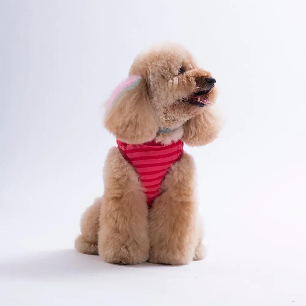 PawStar 26818 Daisy EmbroLine Tişört
