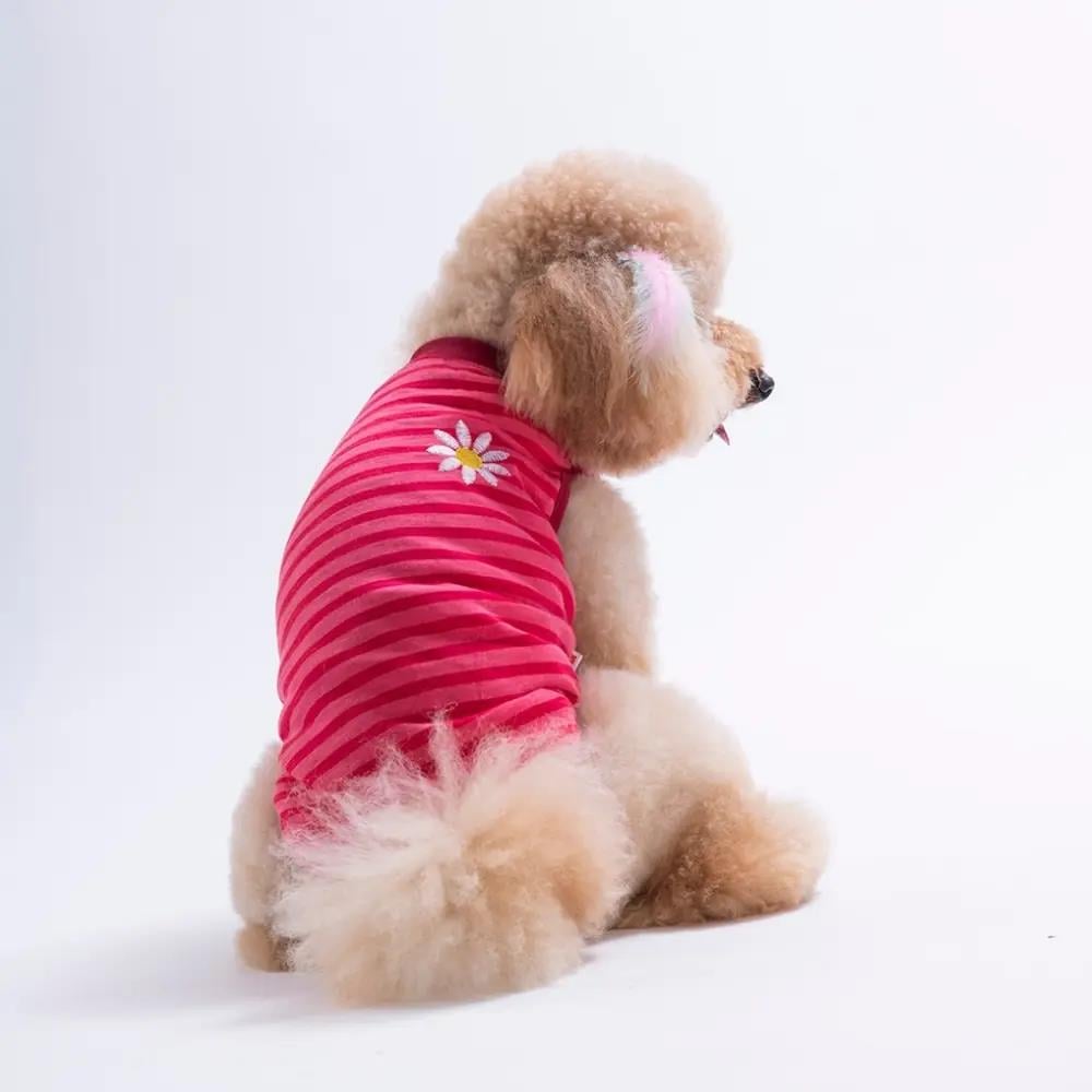PawStar 26818 Daisy EmbroLine Tişört