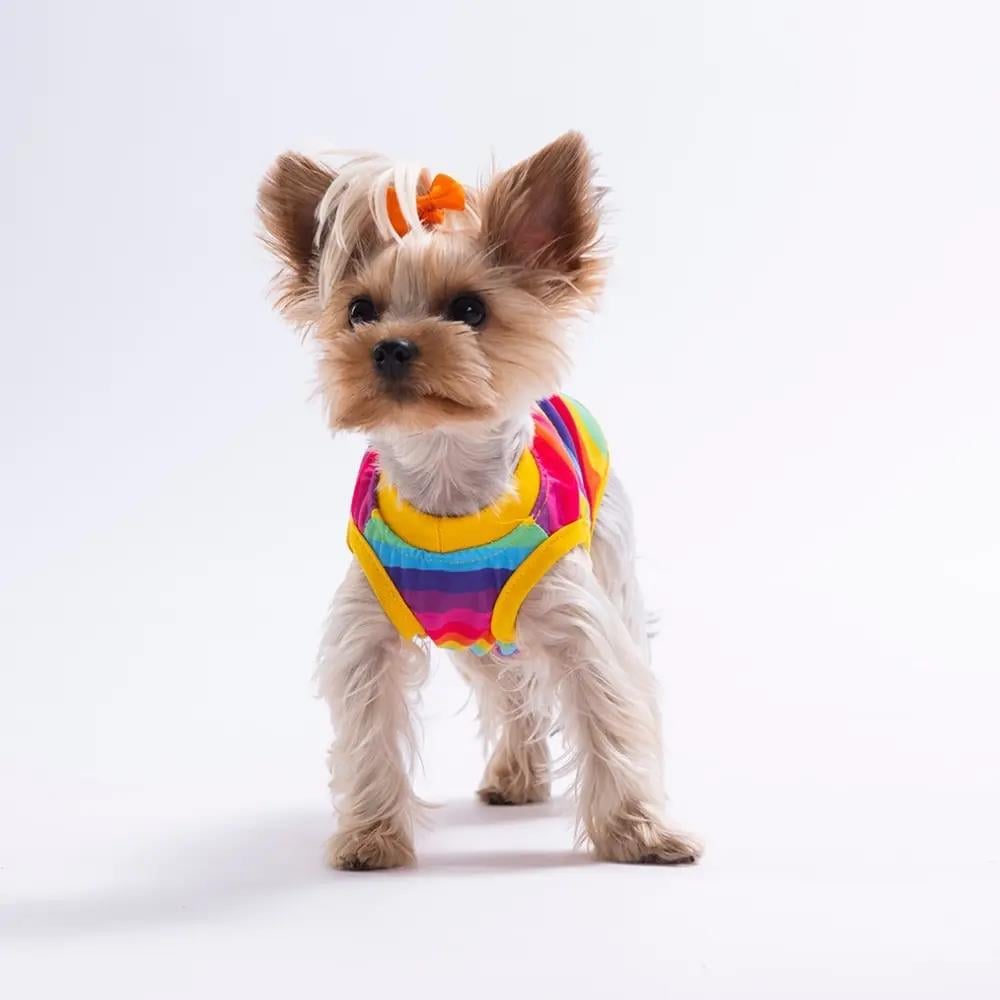 PawStar 26829 Rainbow Tişört