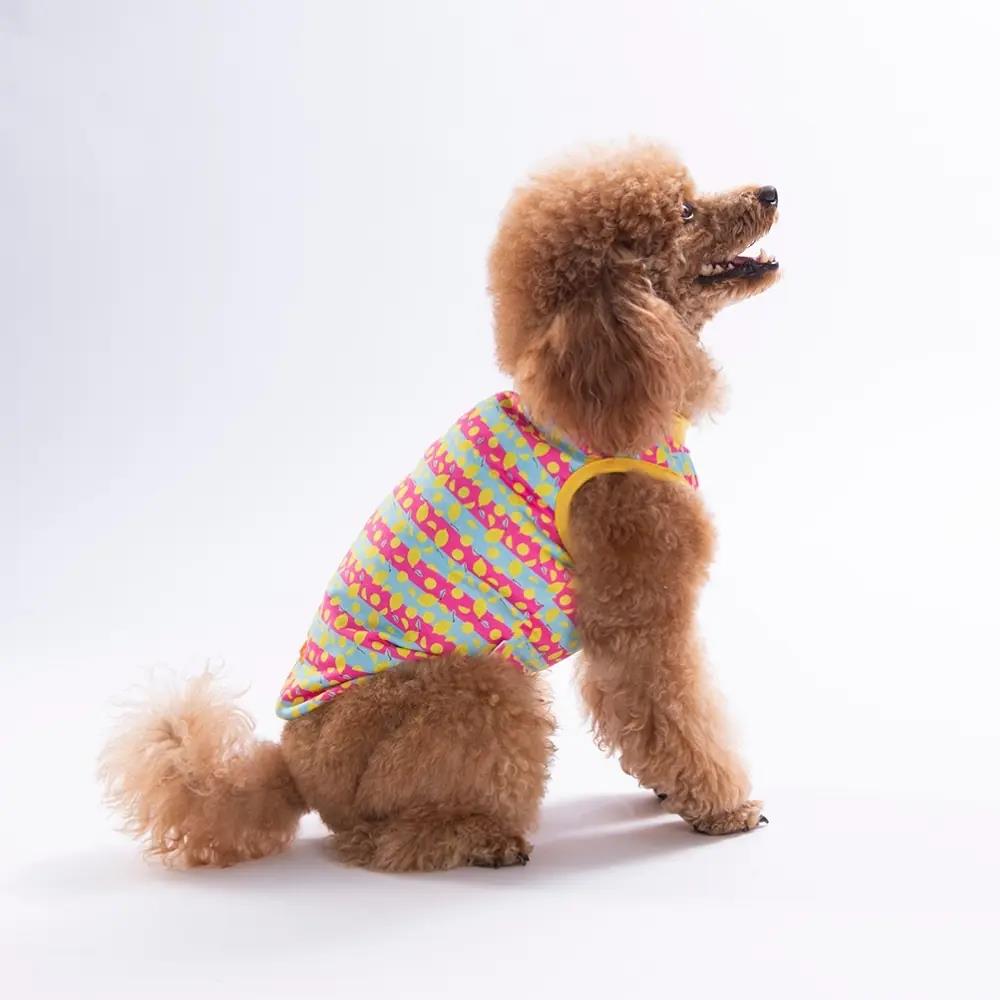 PawStar 26830 Lemon Party Tişört