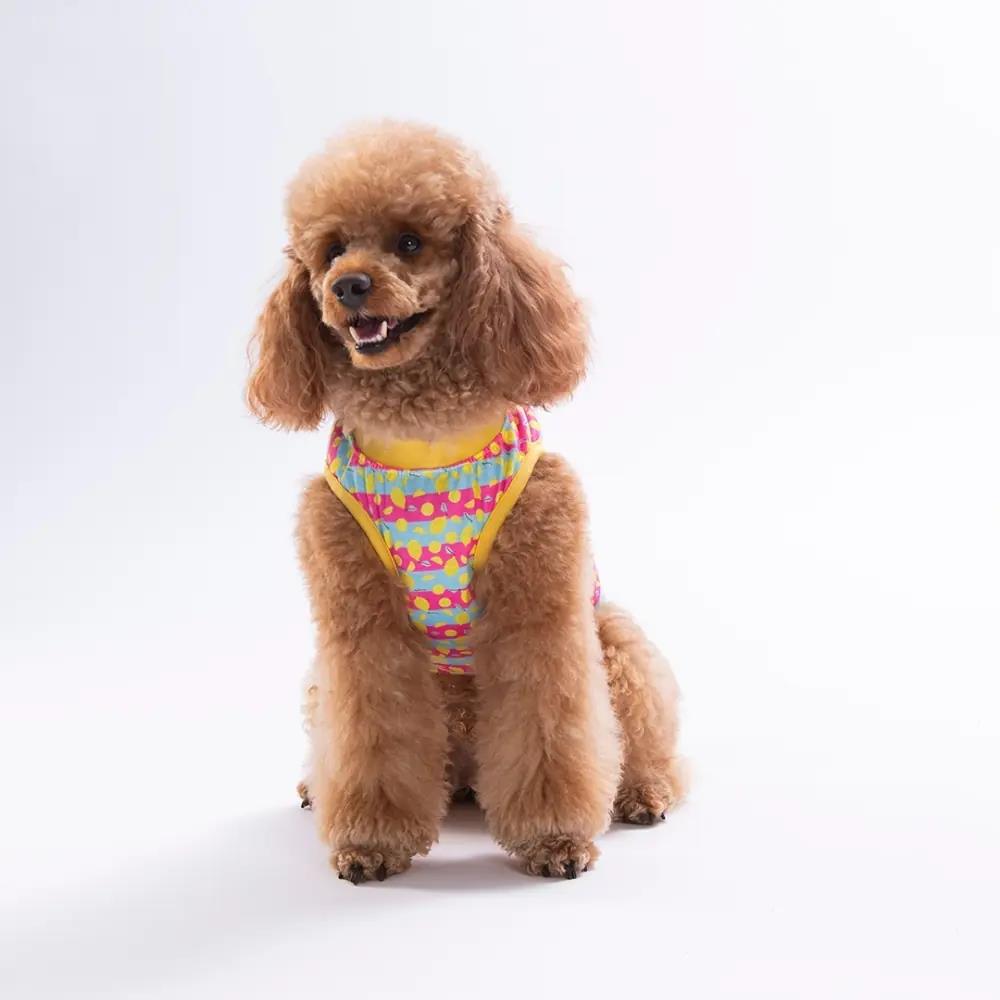 PawStar 26830 Lemon Party Tişört
