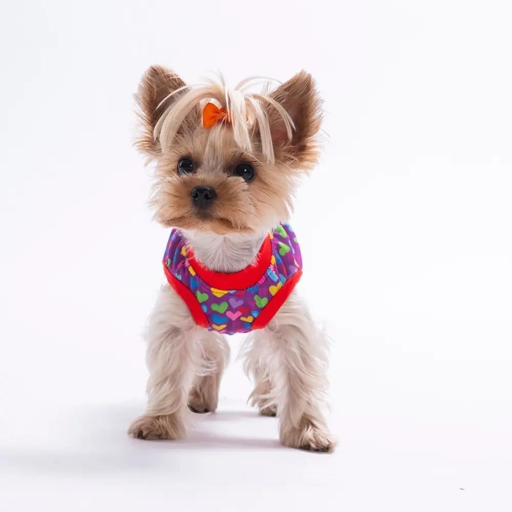 PawStar 26837 Hearts Tişört