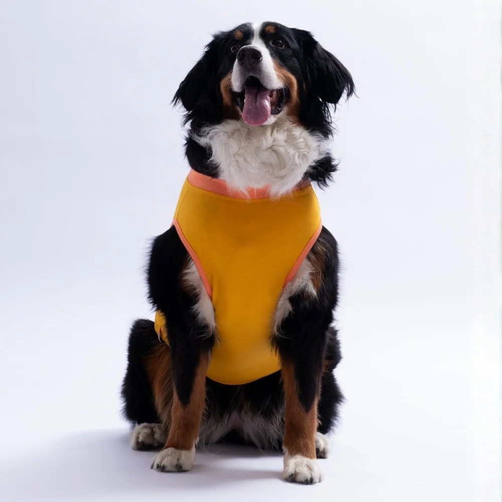 PawStar 26851 Sarı Crabby Beach Büyük Tişört