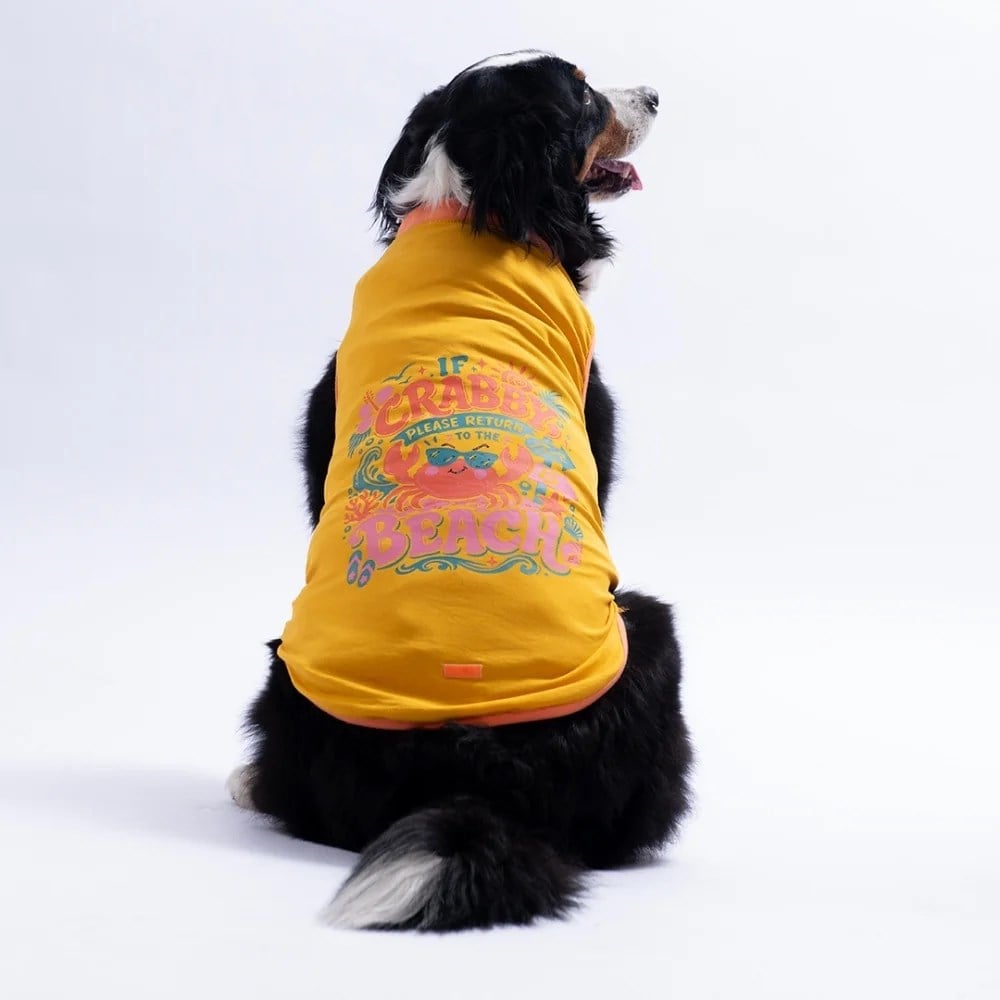 PawStar 26851 Sarı Crabby Beach Büyük Tişört