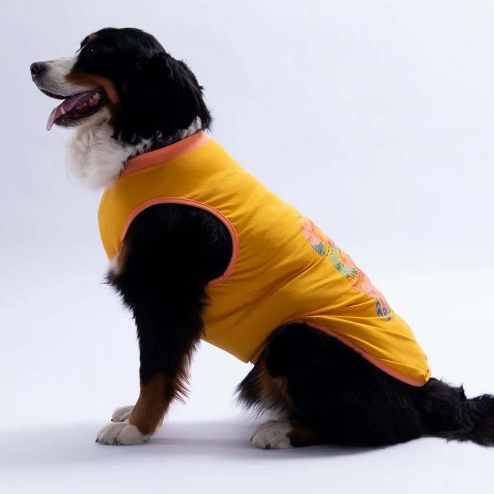 PawStar 26851 Sarı Crabby Beach Büyük Tişört