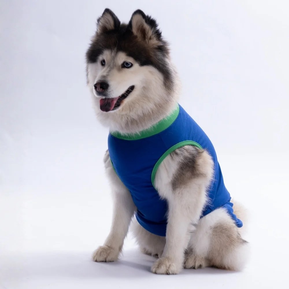 PawStar 26852 Mavi Happy Go Büyük Tişört