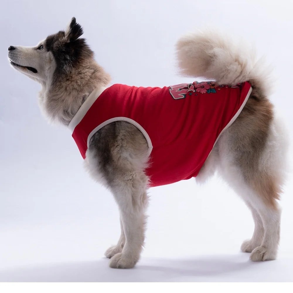 PawStar 26853 Kırmızı Turtley Over It Büyük Tişört